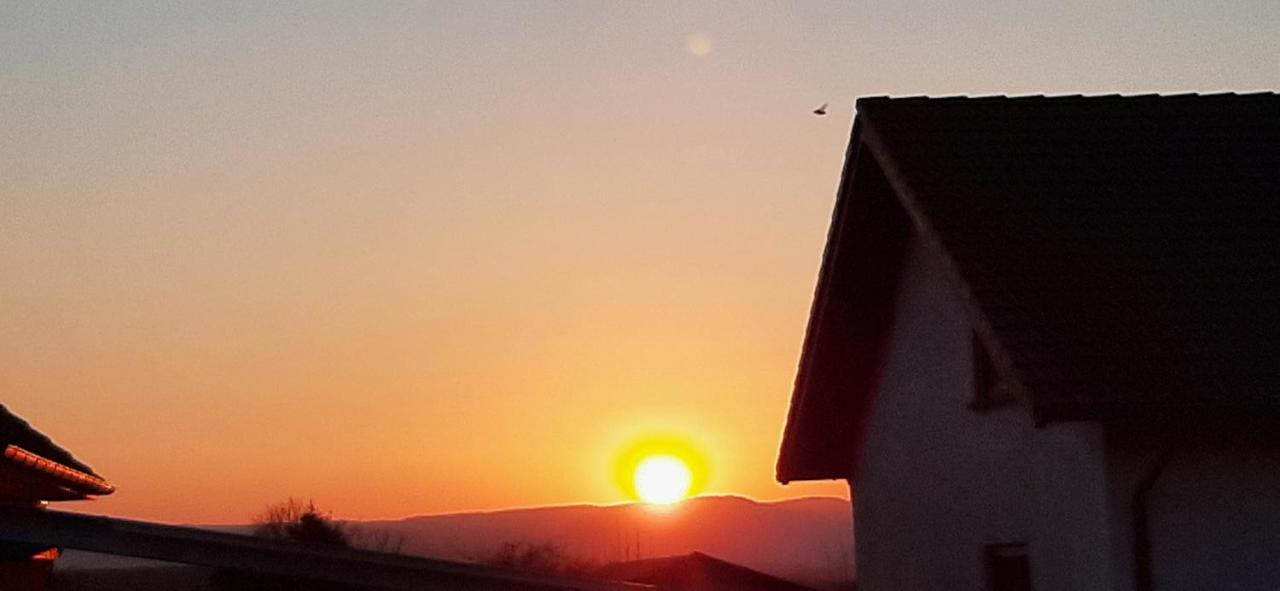 Ferienwohnung Gutowski Andernach Exterior foto